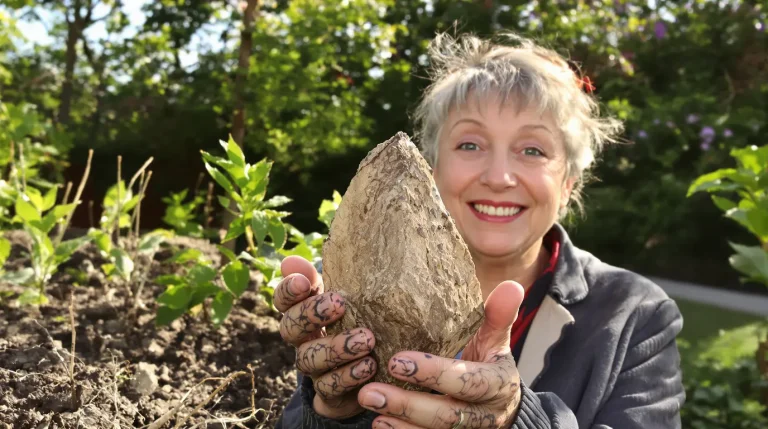 Jardin : en avril, plantez ce bulbe estival aux fleurs sculpturales, vos massifs vont changer de dimension