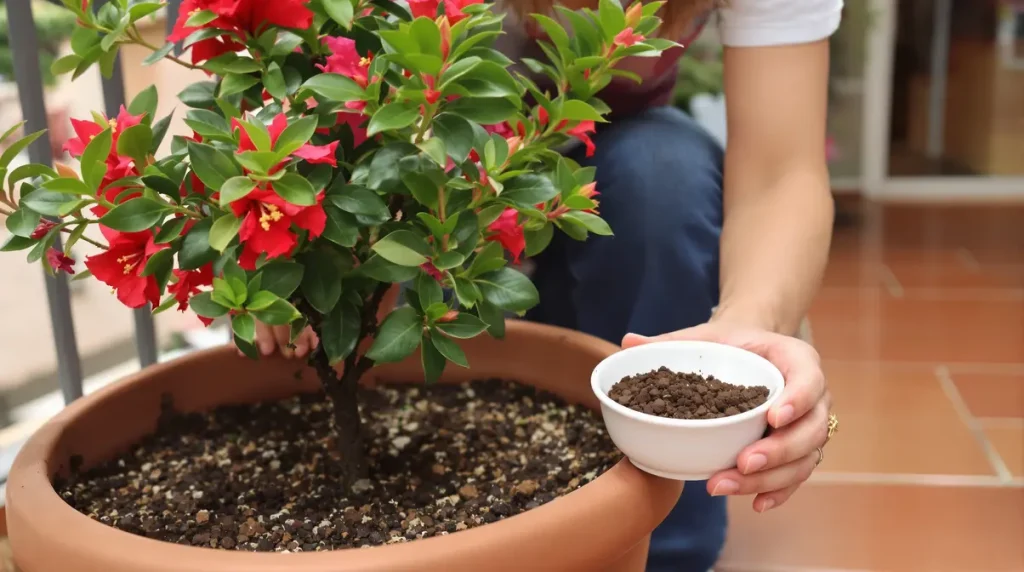 Si votre laurier-rose ne fleurit pas, il manque sûrement un ingrédient essentiel caché dans la cuisine